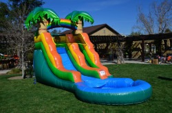 13ft Tropical Waterslide scaled 1753568655 Ari's Tropical Island
