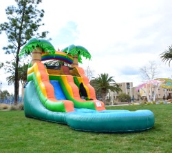 HKS Ari's Tropical Island
